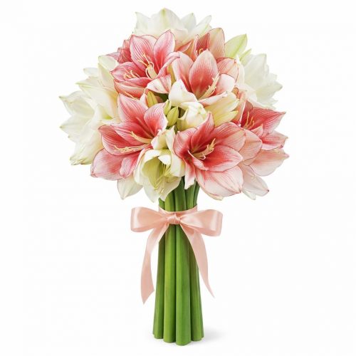 Амариллис микс 1