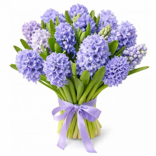 Гиацинт синий