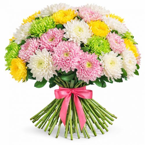 Хризантема одноголовая микс 4