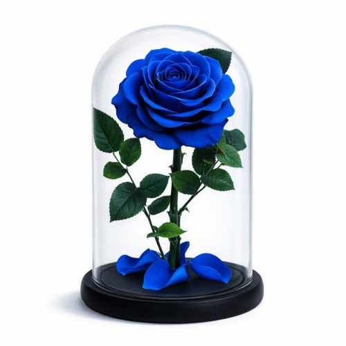 Роза в колбе синяя