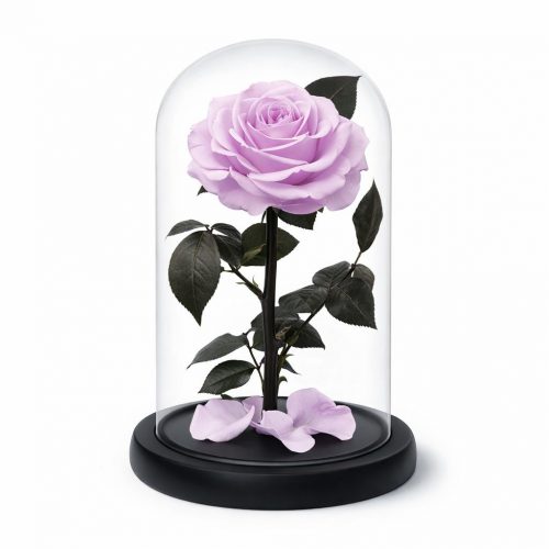 Роза в колбе светло-лиловая