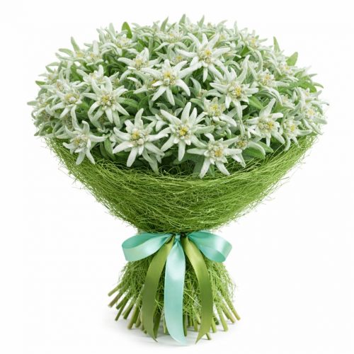 Монобукет «Эдельвейс»