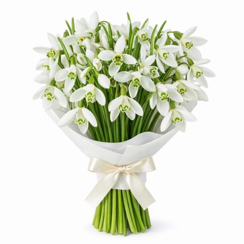 Монобукет «Ночная царица»